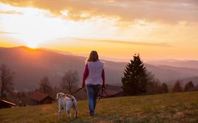 Landhotel Haus Waldeck - Urlaub mit Hund - Superior